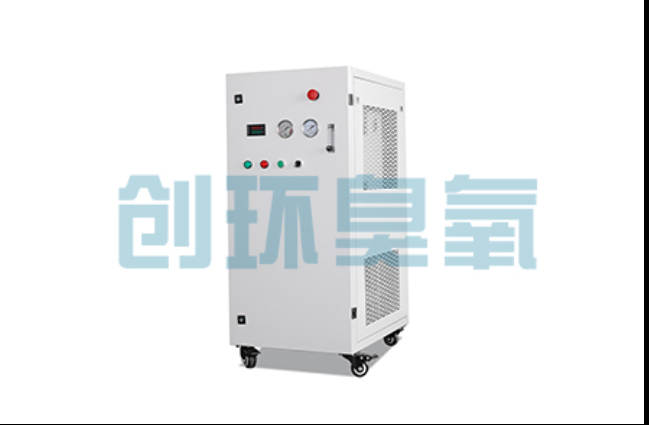 拉萨工厂化养鲈必看:2026年臭氧发生器替代传统消毒的最新方案