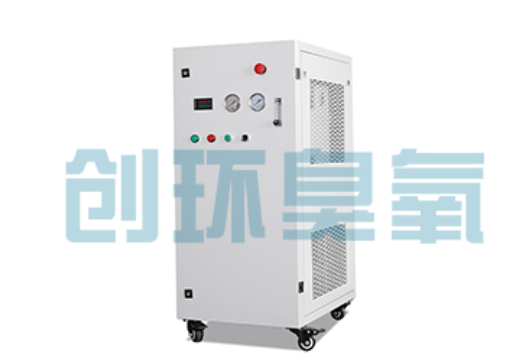 拉萨石斑鱼养殖水质调控完整指南:臭氧发生器配置与操作步骤