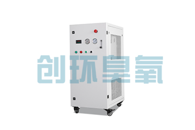 拉萨比传统换水更高效？臭氧发生器在石斑鱼养殖中的水质净化原理解析